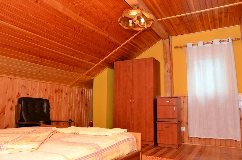 Pensiunea Deea Baile Herculane Bagian luar foto